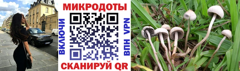Галлюциногенные грибы мухоморы  Абакан 