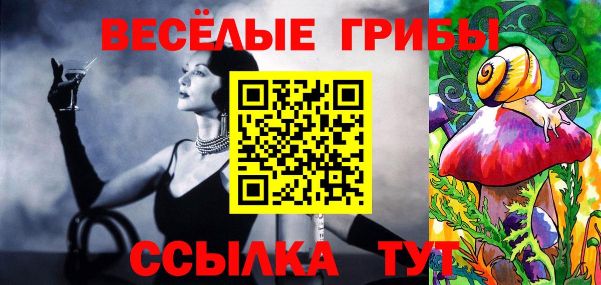 купить   Вход с VPN  Псилоцибиновые грибы Cubensis  Абакан  Псилоцибиновые грибы мицелий 