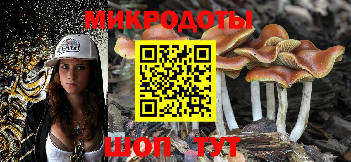 Псилоцибиновые грибы Psilocybine cubensis Абакан