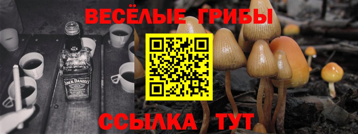 Псилоцибиновые грибы Magic Shrooms Абакан